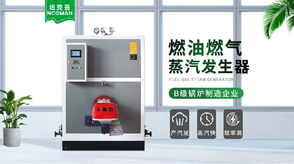 1噸生物質(zhì)蒸汽發(fā)生器，高效環(huán)保讓企業(yè)驚喜連連！ 